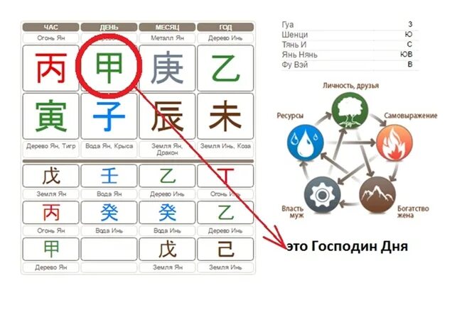 Дерево Инь иероглиф Бацзы. Карты иероглифы Бацзы. Китайская астрология ба Цзы. Элемент личности по ба Цзы. Бадзы калькулятор с расшифровкой