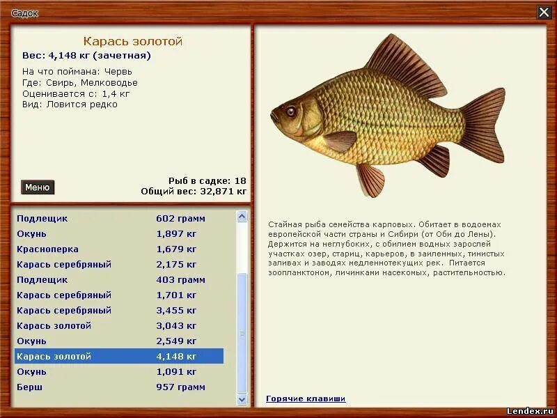 рыбы толстолоб, сазан, судак. вес карпа по длине. где водится карп. сазан. русская рыбалка карп.