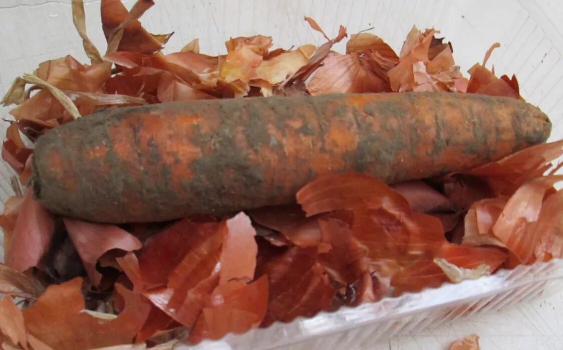 ). Морковная шелуха. Луковый отвар. Раскраска луковая шелуха. Лук репчатый.