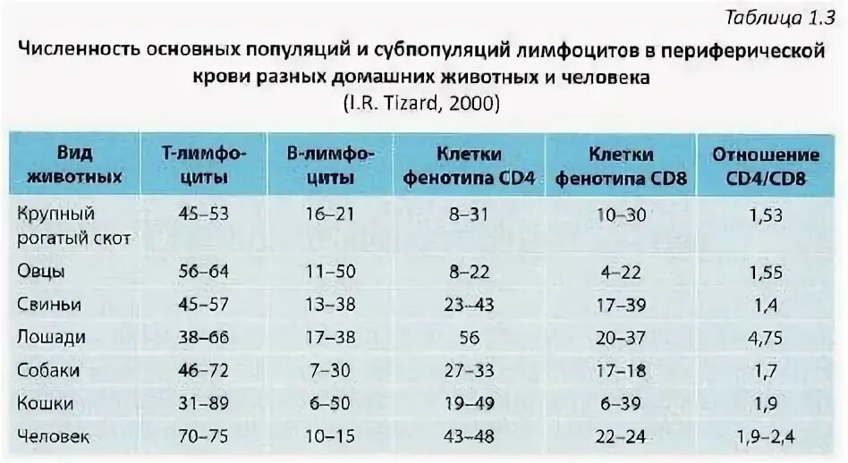 Лейкоциты норма мужчины 40 лет. Норма лейкоцитов в крови у КРС. Нормы крови у КРС. Показатели крови у коров. Норма лейкоцитов у животных.