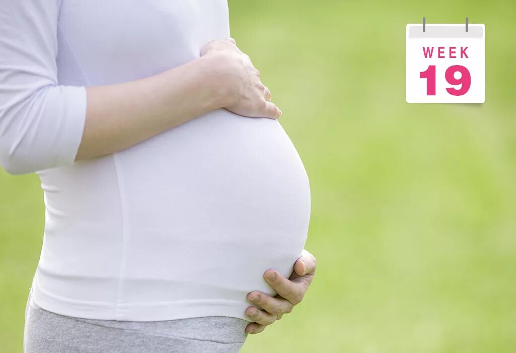 Беременна в 19. Pregnant 19 weeks. Живот на 19 неделе беременности. 19 неделя 2023