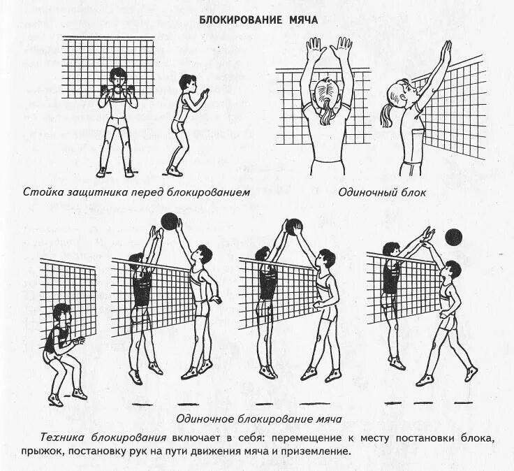 Блок в волейболе схема. Блокирование в волейболе технический прием. Техника одиночного блокирования в волейболе методика обучения. Техника игры в волейбол блок.