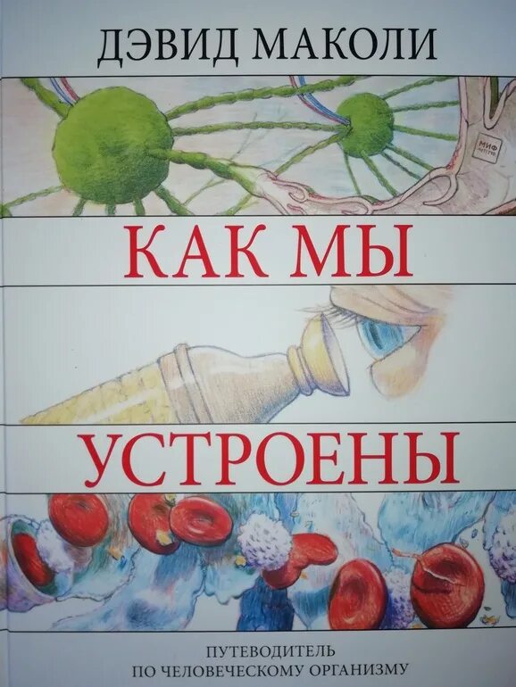 Как все устроено дэвид маколи. Как все устроено дэвид маколи