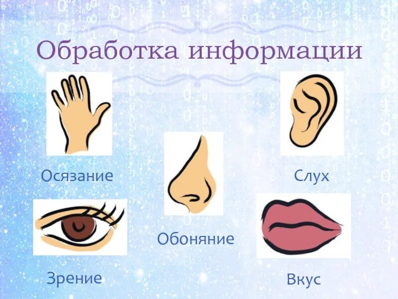 Осязание обоняние зрение слух. Зрение слух обоняние осязание. слух обоняние осязание это. осязание это вкус. глаза это орган осязания.