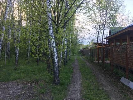 Снт лесное 1 массив