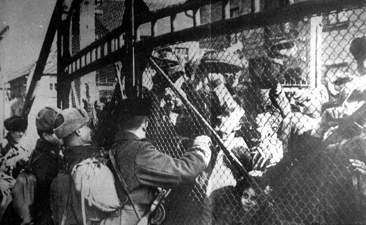 Биркенау освобождение. Освенцим концентрационный лагерь освобождение. Освобождение узников освенцима 1945. 27 января 1945 освобождение узников концлагеря освенцим. Освобождение узников освенцима.