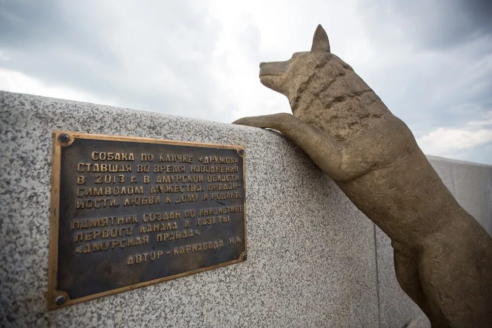 Памятник псу дружку в благовещенске. Памятник собаке в благовещенске. Памятник собаке в благовещенске на набережной. Памятник собаке в благовещенске. Памятник дружку в благовещенске.