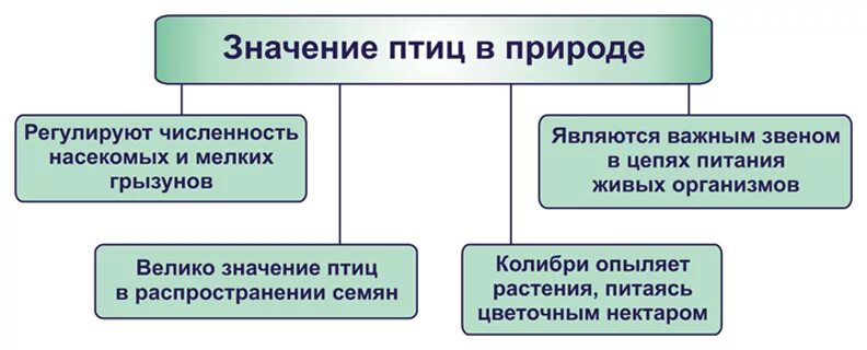 Значение птиц в природе и жизни человека 7 класс биология таблица. Роль птиц в жизни человека. Значение птиц в жизни человека. Значение птиц биология 8 класс. Значение птиц биология 8 класс.