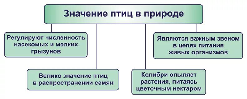 Значение птиц биология 8 класс. Роль птиц в природе. Значение птиц. Роль птиц в природе и жизни человека. Значение птиц в природе и жизни человека.