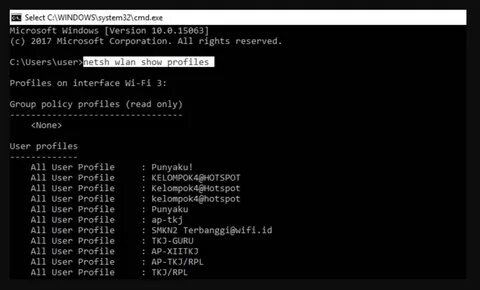 Netsh wlan profiles