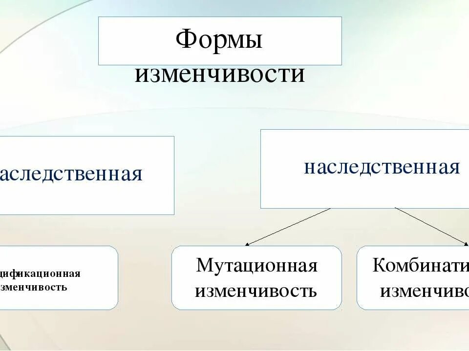 Ненаследственные изменения организма. Изменчивость наследственная и ненаследственная схема. Основные формы изменчивости генотипическая изменчивость 9 класс. Мутационная наследственная изменчивость. Формы изменчивости биология 11 класс.