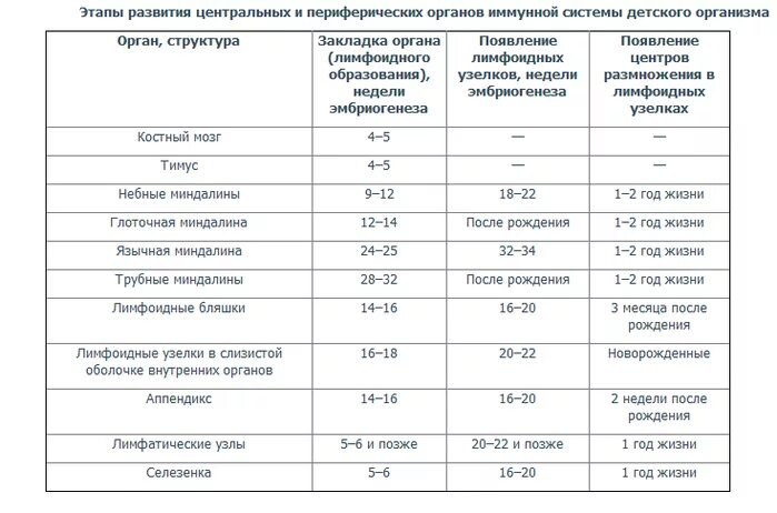 Периоды развития после рождения. Этапы формирования иммунитета у детей. Иммунный статус плода и новорожденного. Этапы становления иммунитета у детей. Возрастные особенности иммунитета таблица.