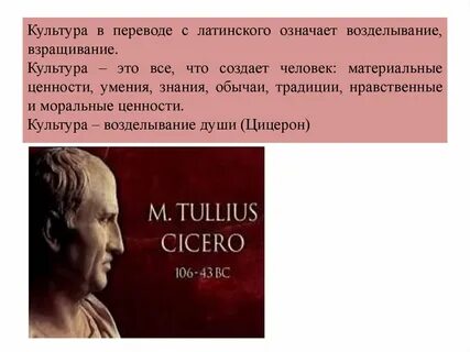 Слово культура происходит от латинского