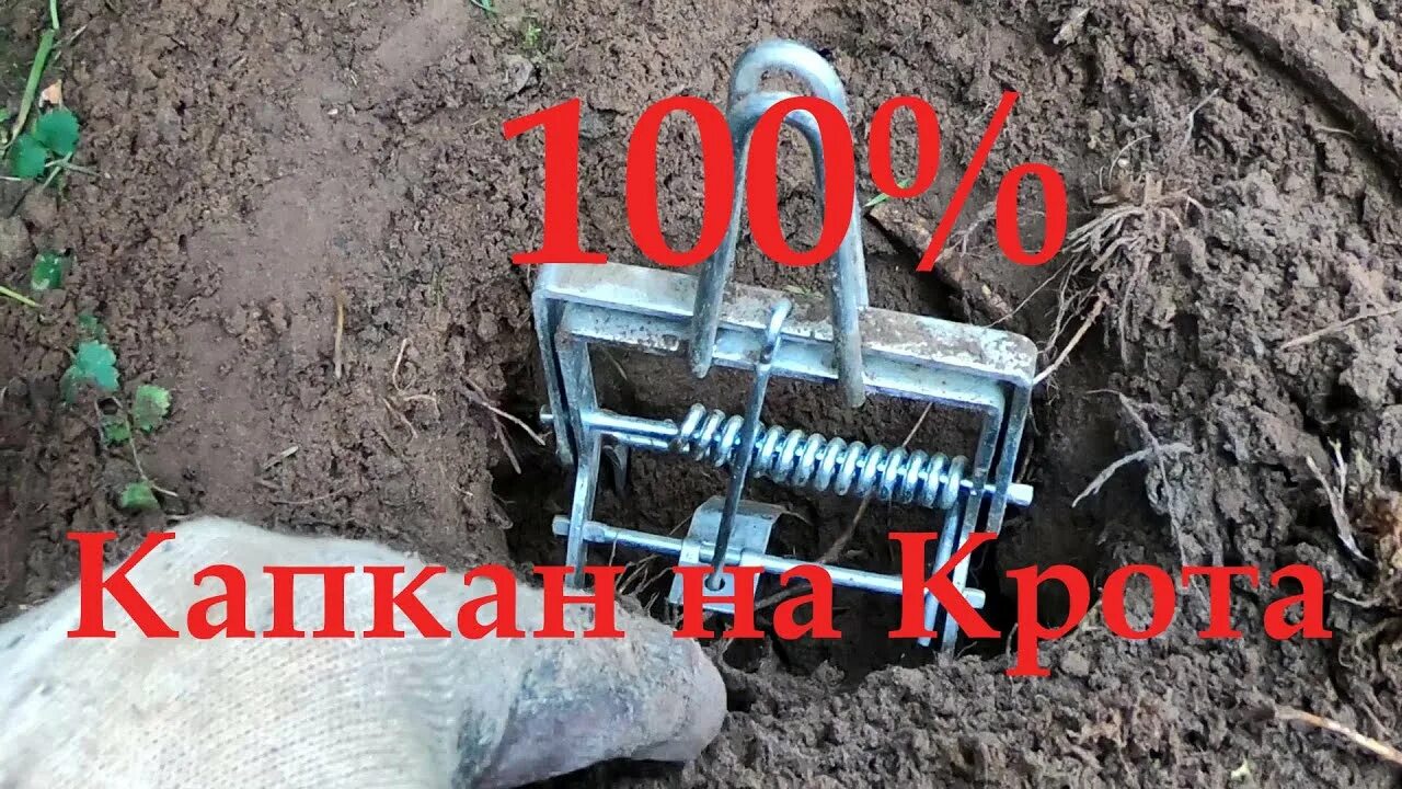 Как правильно установить кротоловку