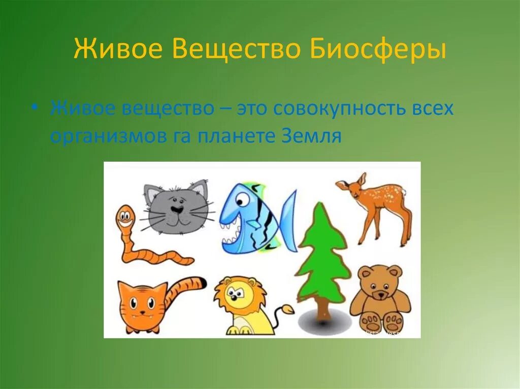 рассеивающая функция живого вещества. жизнь и живое вещество. живое вещество это в экологии. живое вещество. живые организмы (живое вещество).
