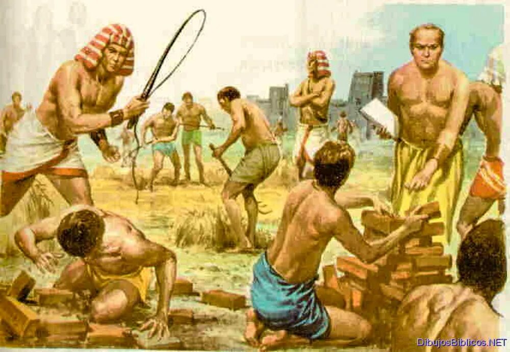 дети рабы. работорговля и рабство в сша 19 век. рабовладельческие плантации сша 19 век. много людей рабы. джеймс берч рабовладелец.