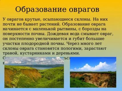 Какое действие человека препятствует образованию оврагов