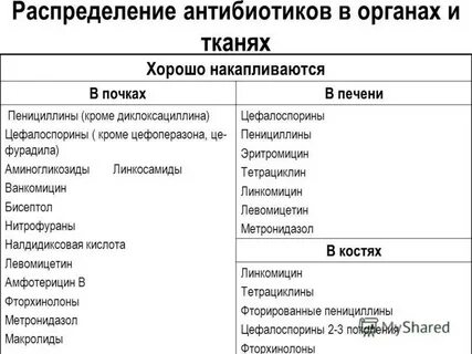Антибиотики выводятся