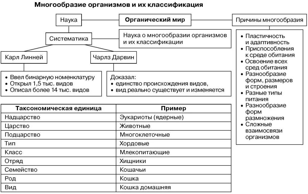 Многообразие организмов и их классификация