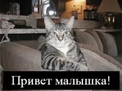 Привет малышка ну