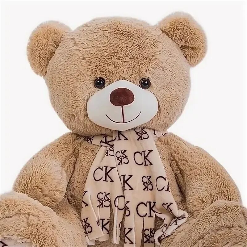 Мишка 50 50. Мишка 50 50