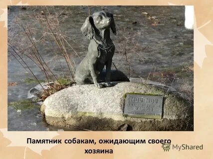 Дефис ждала статуя эксперт