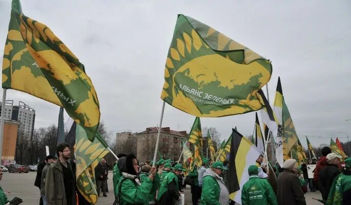 партия зеленые выборы. российская экологическая партия. политик петрозаводска партия зеленых. российская экологическая партия «зелёные». партия зелёных россия.