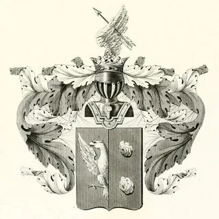 Фамилия руденко