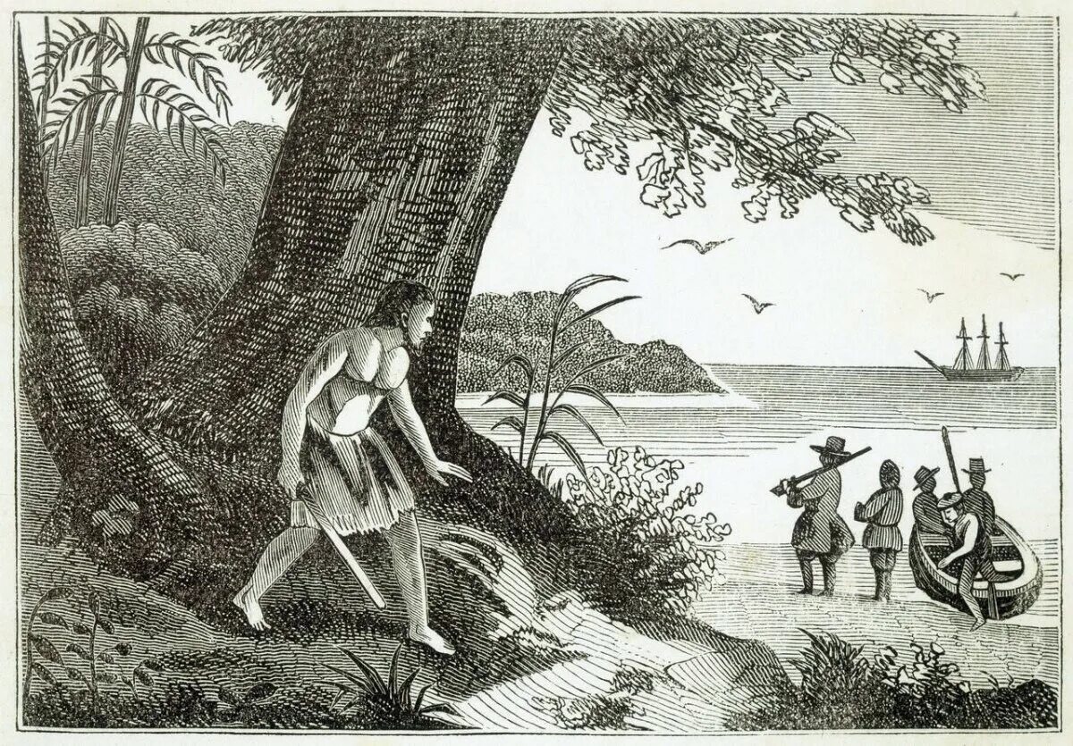 Робинзон крузо выживал на острове. Необитаемый остров Робинзона Крузо.