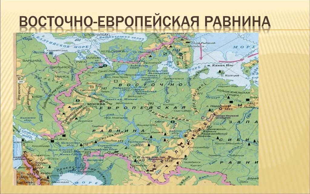 Все возвышенности россии. Физ карта Восточно европейской равнины. Низменности Восточно европейской равнины на карте. Карта Восточно европейской равнины с городами. Восточно европейская равнина на карте России география.