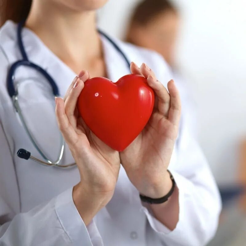 Сердце человека и доктор. Здоровое сердце. Сердце кардиология. Сердце кардиолог.