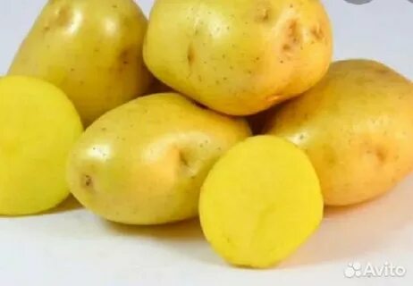 Желтые сорта картофеля