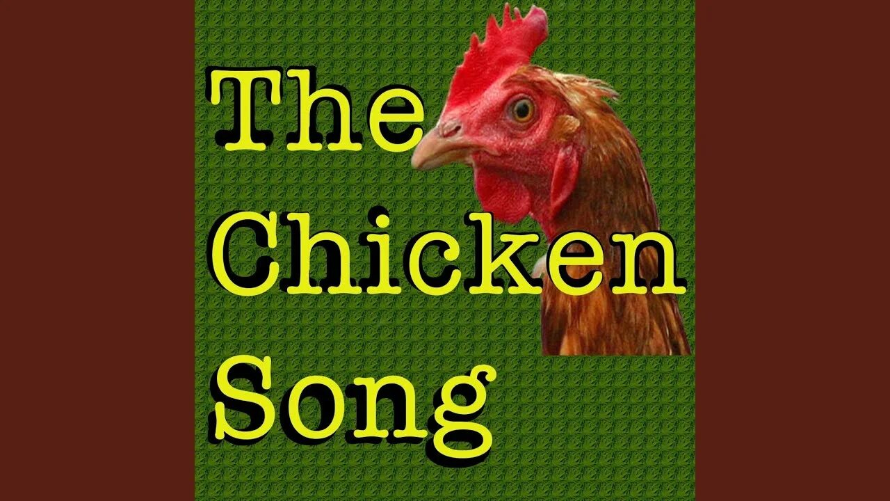 Курица песня слушать. Чикен Сонг. Фото Chicken Song. .Geco - Chicken Song. Чикен песня.