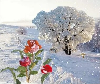 i?id=9868f14d046f7dfcaed2ba3df99365c952d