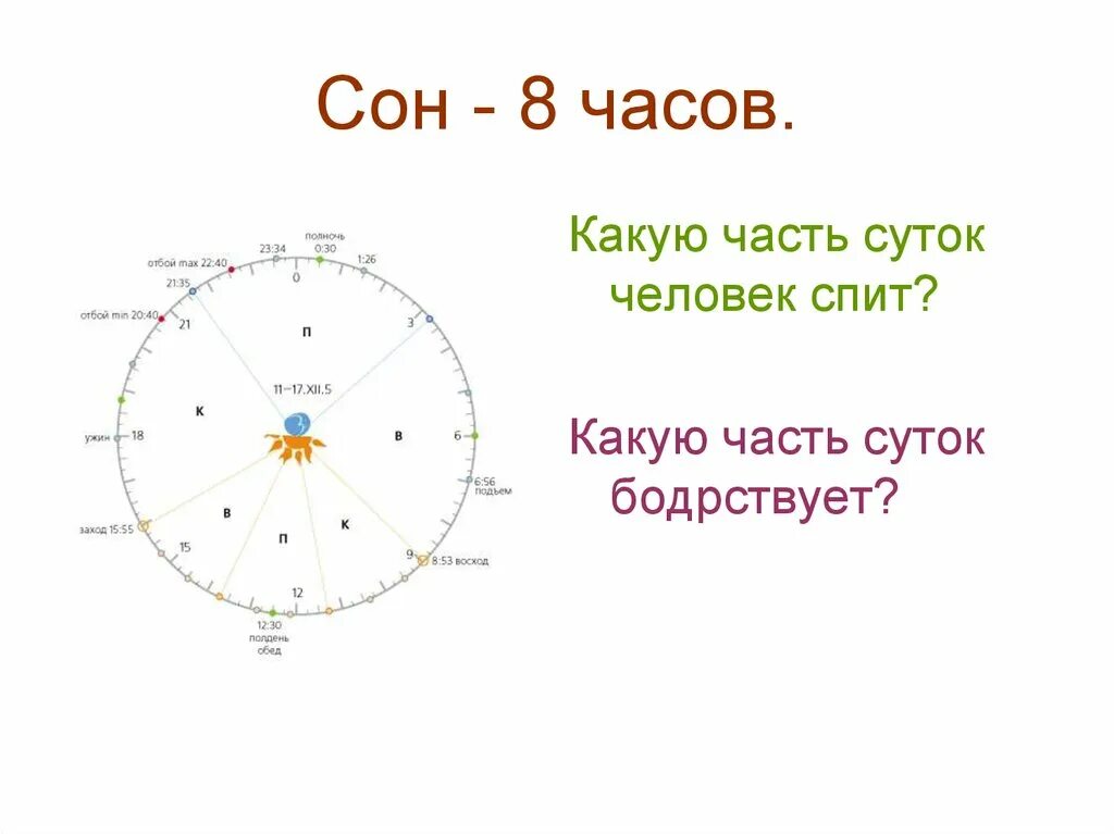 8 часть суток. Сон 8 часов. Сон 8 часов в сутки. Человек спит 8 часов в сутки какую часть суток человек бодрствует. Какая часть суток.