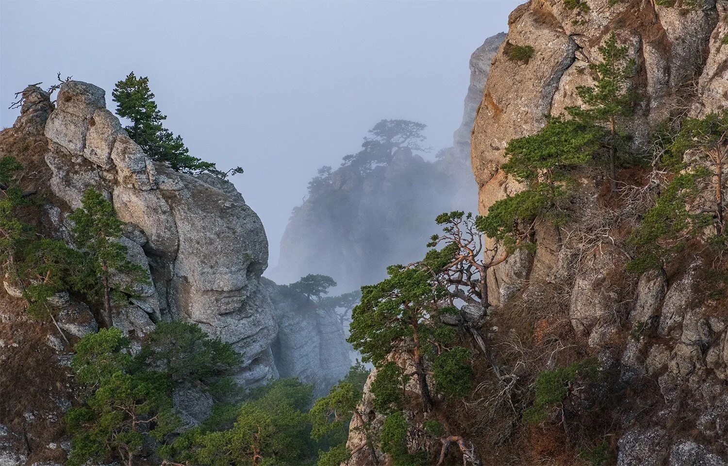 Национальный парк чжанцзяцзе (провинция хунань). Горы улинъюань китай аватар. Чжанцзяцзе (национальный лесной парк). Горы аватара. Национальный парк чжанцзяцзе.