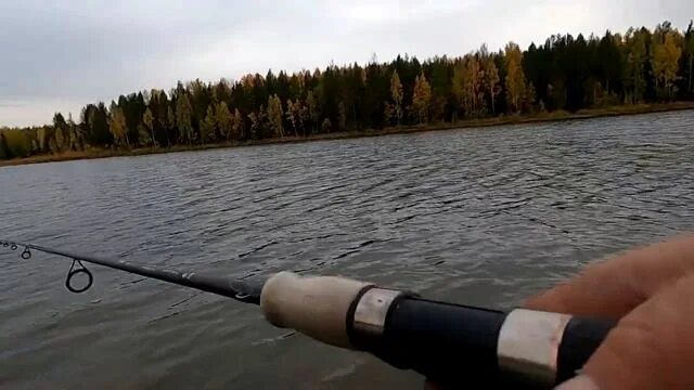 Видео про рыбалку на спиннинг. Река пьяна спиннинг воблер. северный нт. видео про рыбалку на спиннинг за 2025 год.