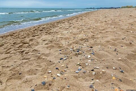 Наше море отзывы