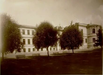 Гатчинский дневник