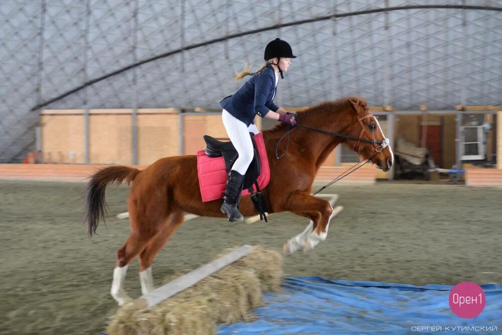 Дубровский оренбург конный клуб. Конно-спортивный комплекс дубровский оренбург. Гран при конный тольятти. Forside конный клуб. Конюшня оренбург гармония.