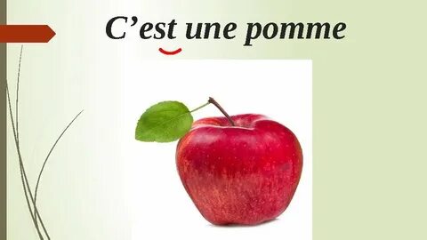 Ce sont des