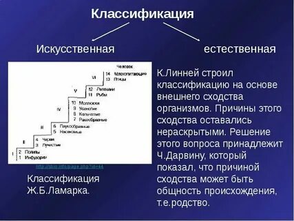 Для чего классифицируют организмы биология 5