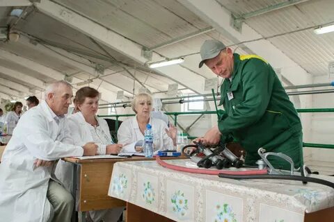 Погода в вербилово липецкая область