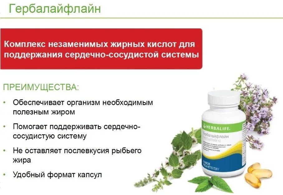 Гербалайфлайн Макс Гербалайф. Продукт Гербалайф для презентации. Продукция Гербалайф каталог продукции характеристики. Гербалайф описание продуктов.