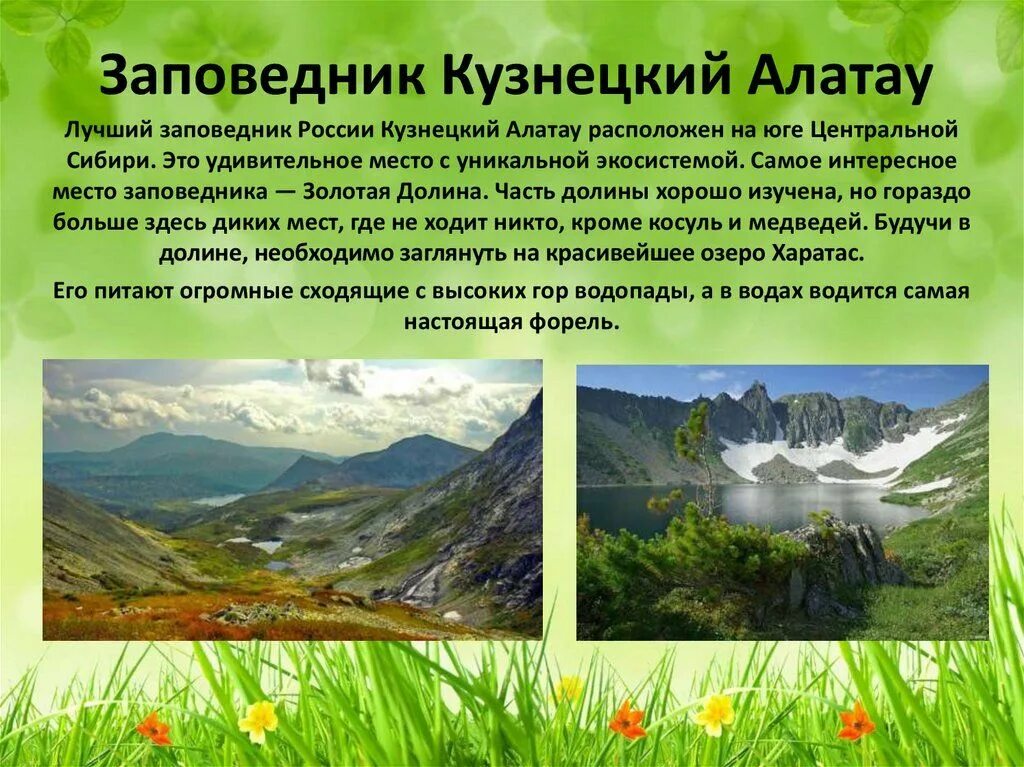 Где находится кузнецкий заповедник. Заповедники кузбасса кузнецкий алатау. заповедник кузнецкий алатау рассказ. кузнецкий алатау заповедник междуреченск растения. кузнецкий алатау заповедник растения.