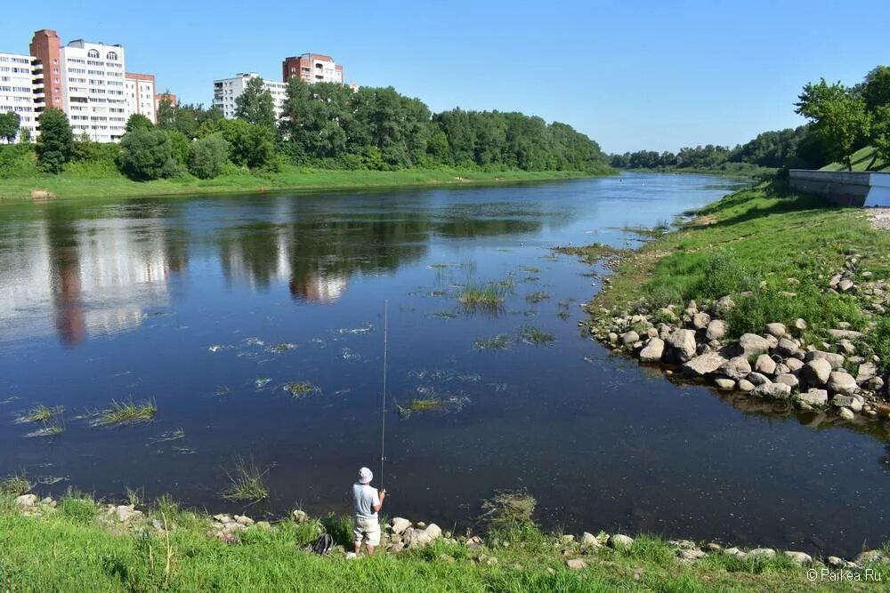 Витебск река. Витебск река витьба. витебск река двина. набережная западной двины витебск. витьба река беларуси.