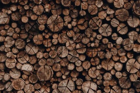 Logs download
