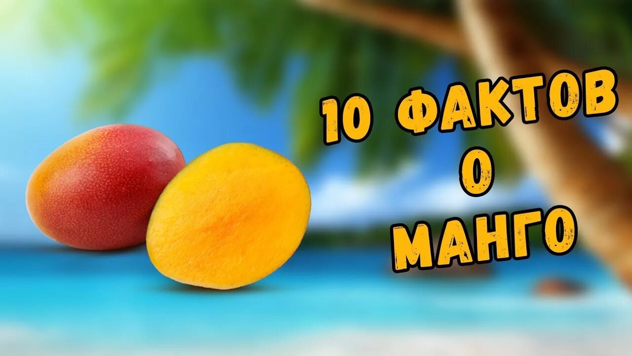 Интересные факты о манго. Манго интересные факты о фрукте. Манго удивительные факты. Манго интересные факты о фрукте для детей. Полезные витамины манго