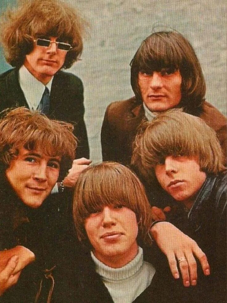 The Byrds. Roger MCGUINN the Byrds 1965. Byrds Band. The Birds группа.