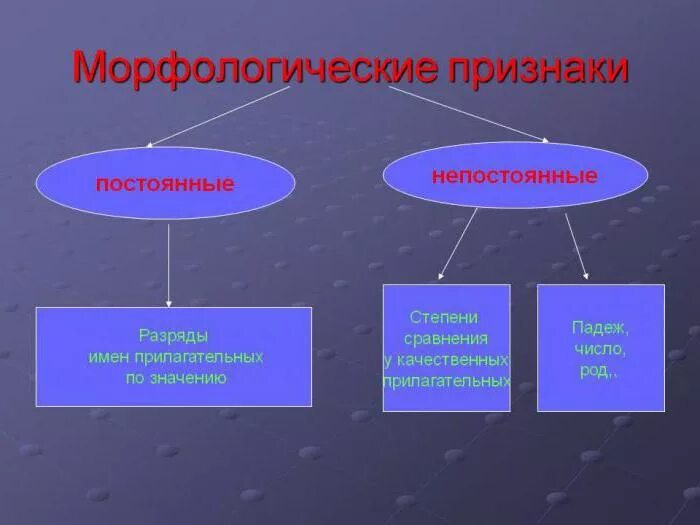 Какими бывают морфологические признаки. Морфологические признаки прилагательного. Постоянные морфологические признаки прилагательного. Постоянные грамматические признаки прилагательного. Постоянный признак прилагательного.